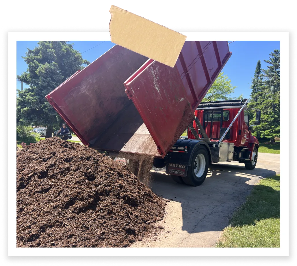 Affordable bin rental for landscaping projects and soil drop-off services